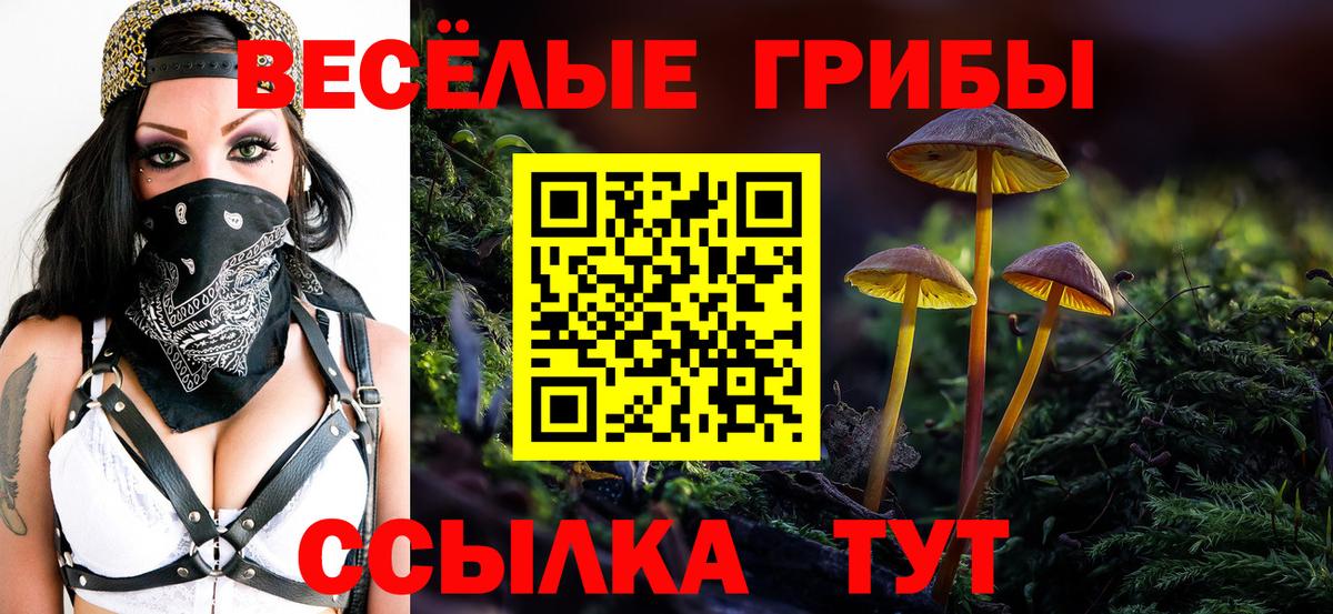 Богородск  Галлюциногенные грибы мухоморы  Вход с VPN  Галлюциногенные грибы GOLDEN TEACHER 